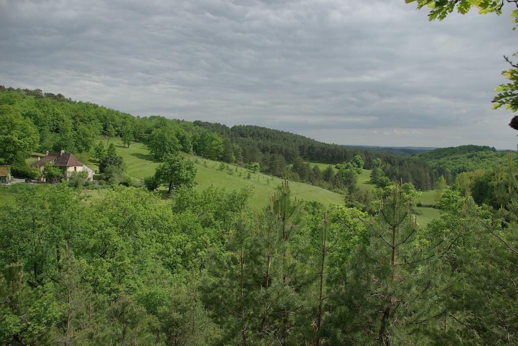 Pechalvet Hotel Fleurac  Kamer foto